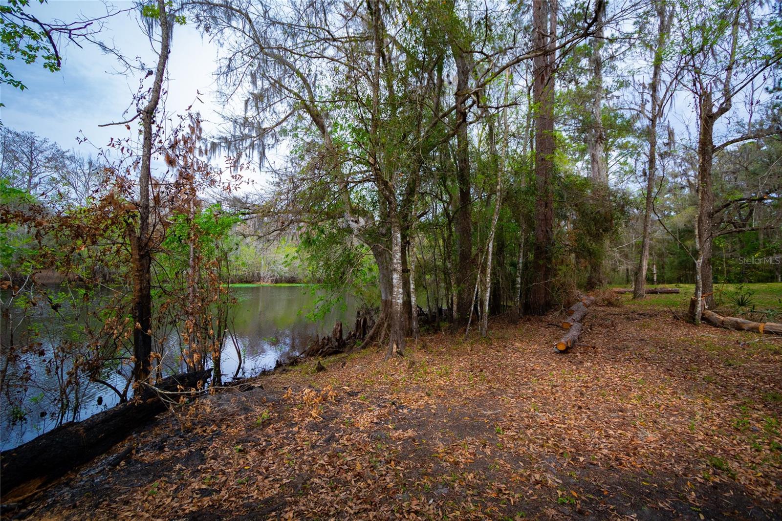 7822 Cr 647, FL