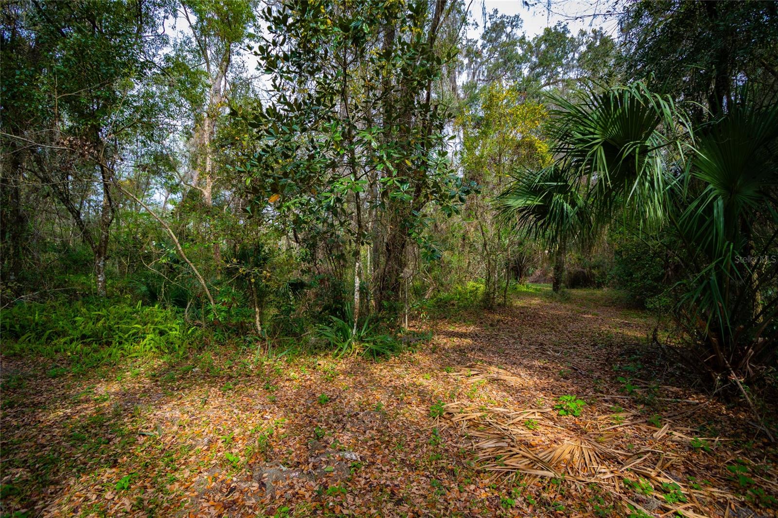 7822 Cr 647, FL