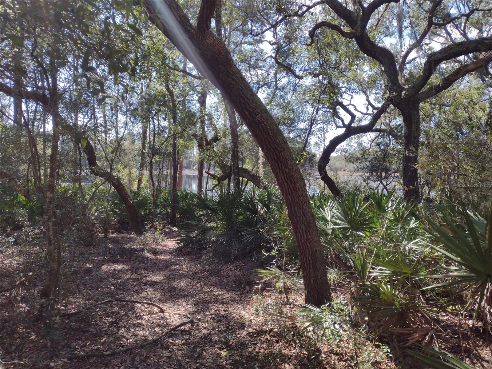 89 Tucker Lake Road, FL