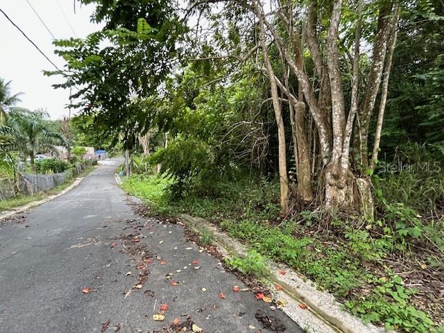 Campo Nuevo-Azucena 2, PR