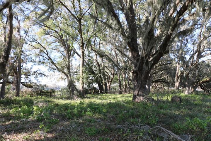 Cr 48, FL