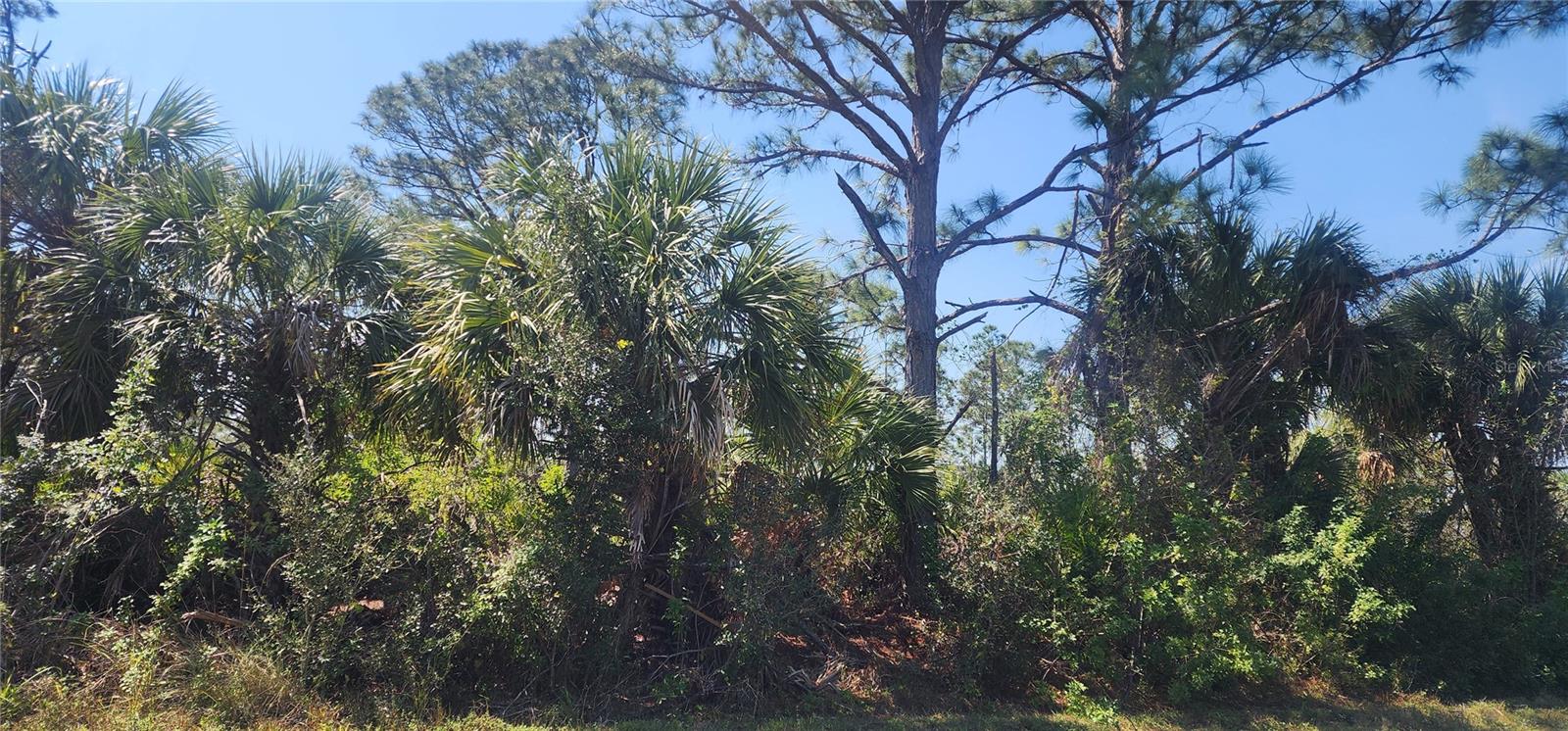 2157 Saipan Lane, FL