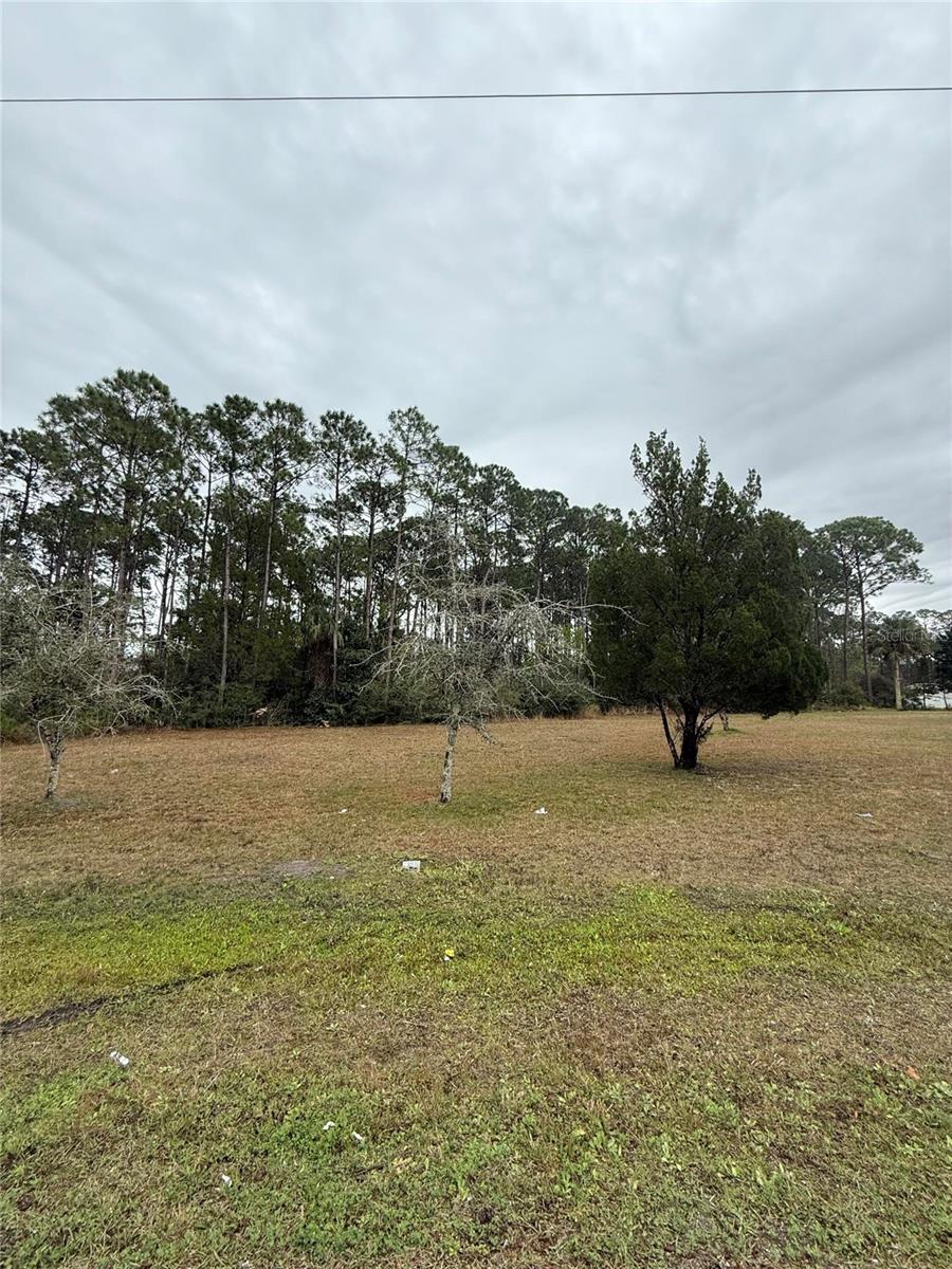 245 Ullian Trl, FL