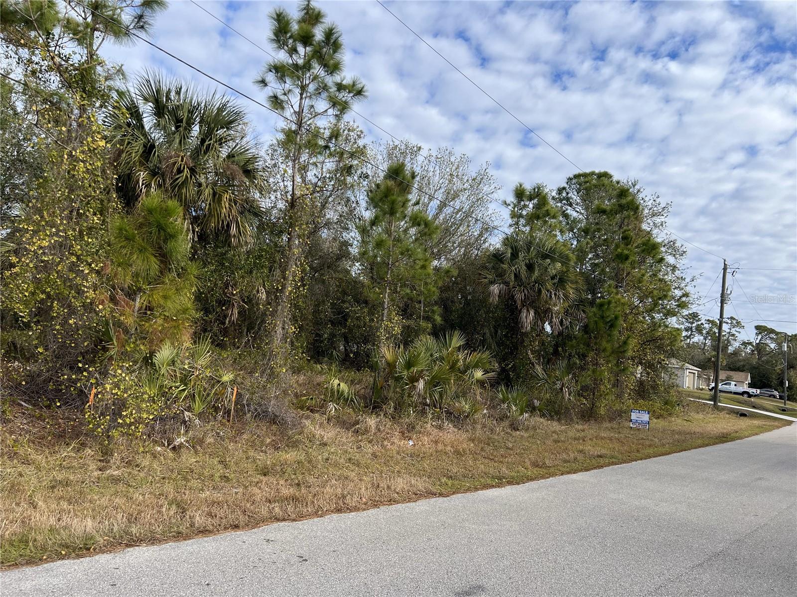 Carmelia St, FL