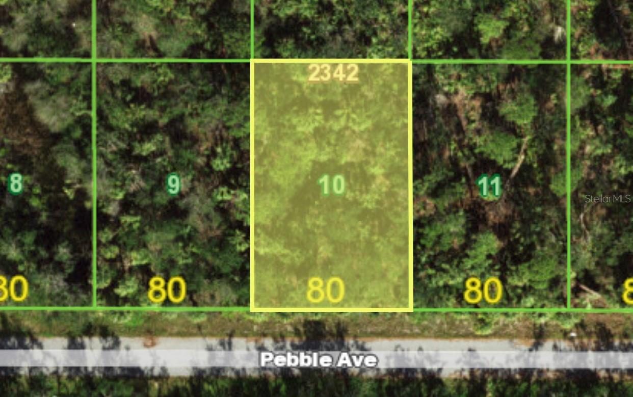 13382 Pebble Avenue, FL