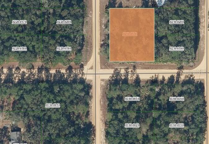 00 Norman Avenue, FL
