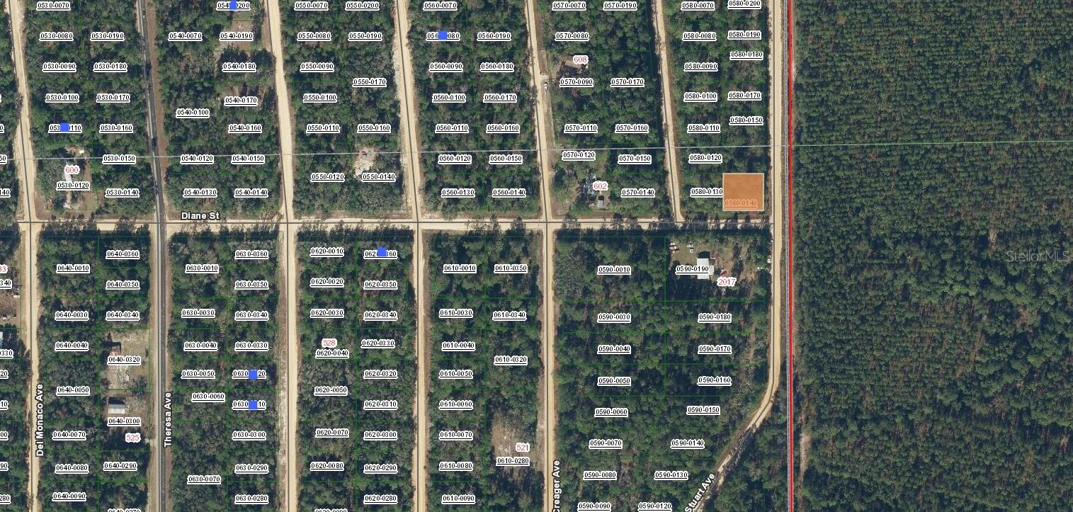 Diane Street, FL