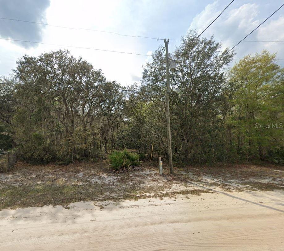 Violet Circle, FL