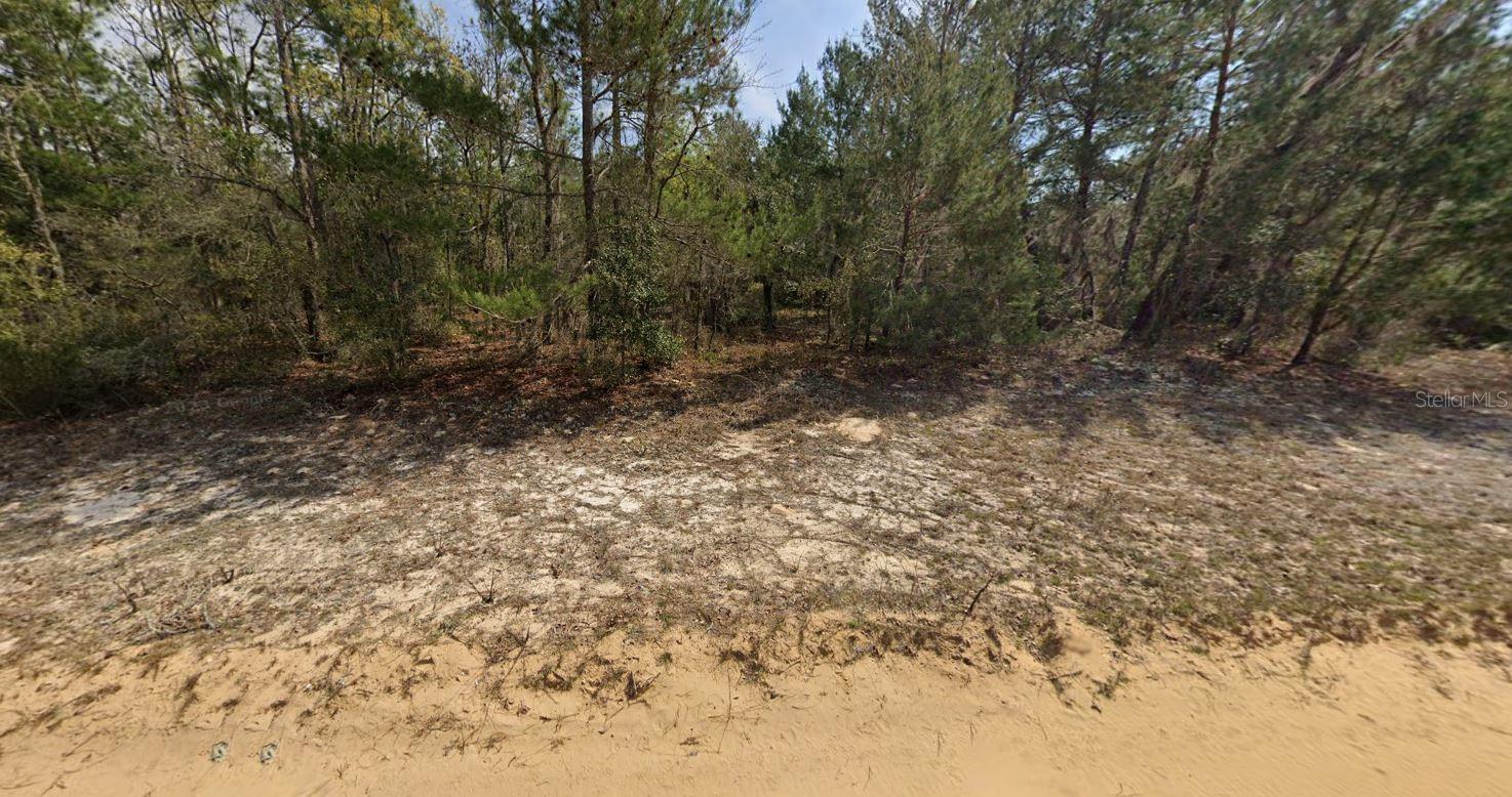 O Farrel Avenue, FL
