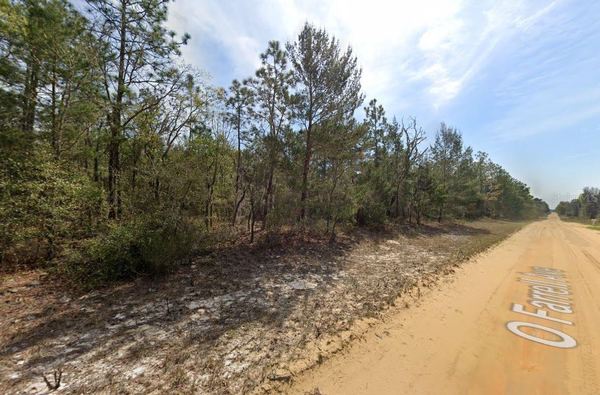 O Farrel Avenue, FL