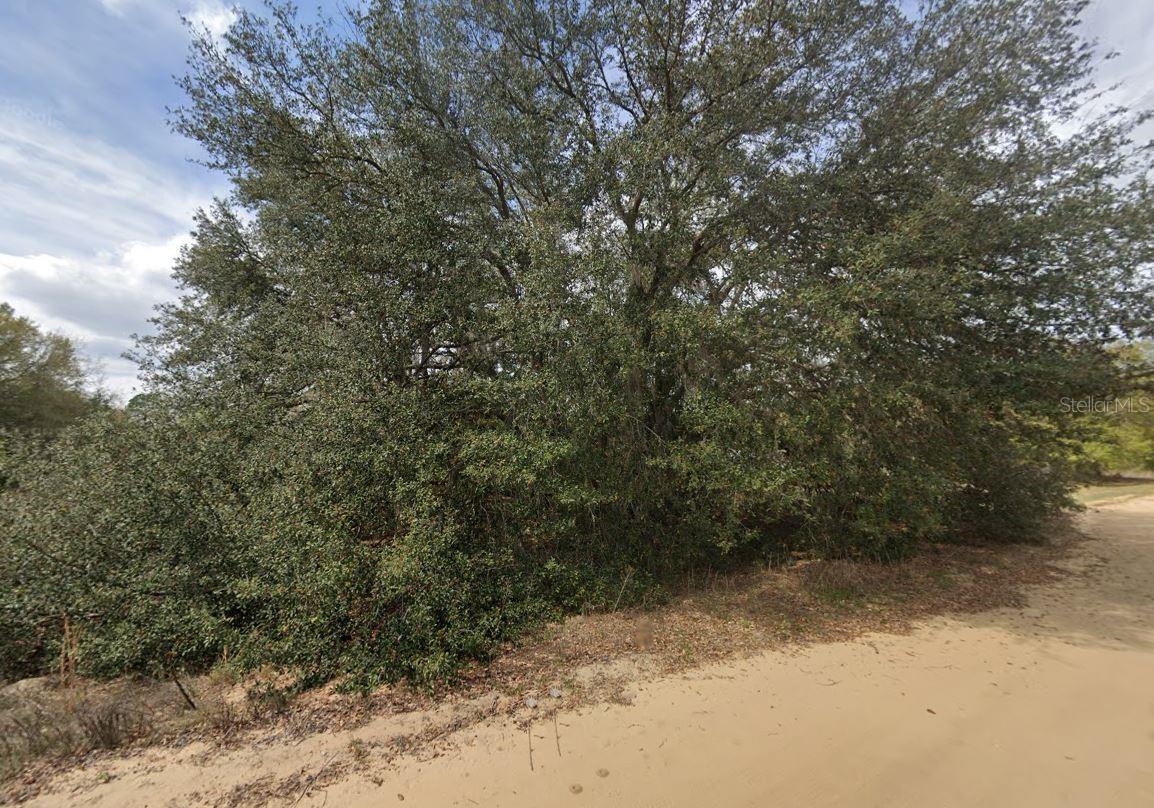 821 Kitty Avenue, FL