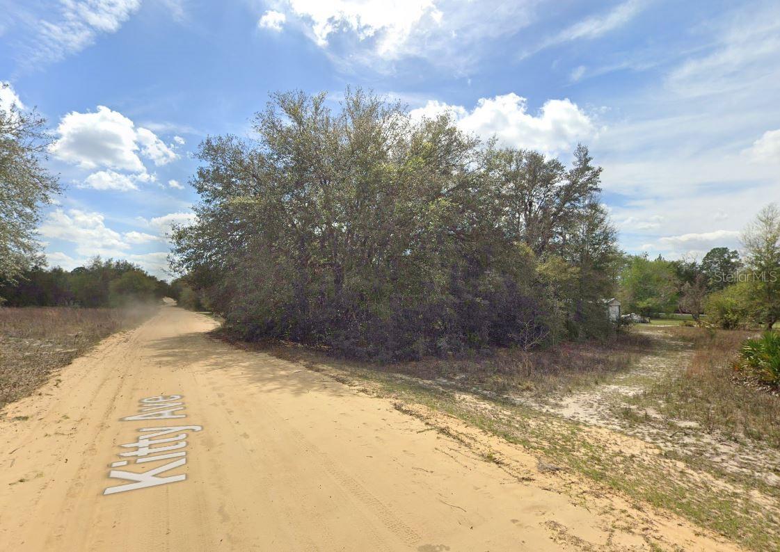 821 Kitty Avenue, FL