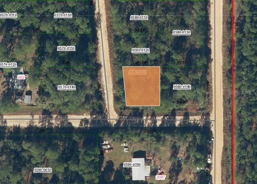 Lot 13 Selma Avenue, FL