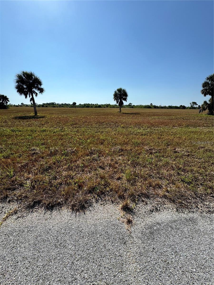 12496 Toadfish Court, FL