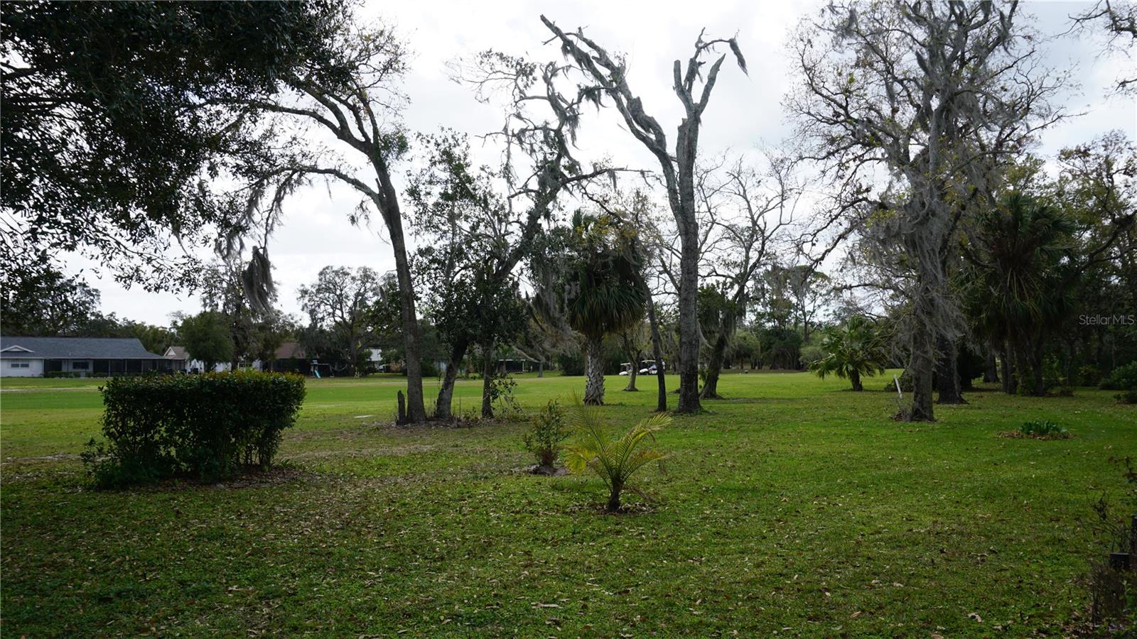 12816 Wedgewood Way, FL