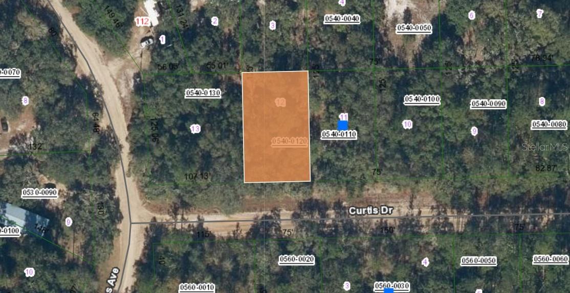 00 Curtis Drive, FL