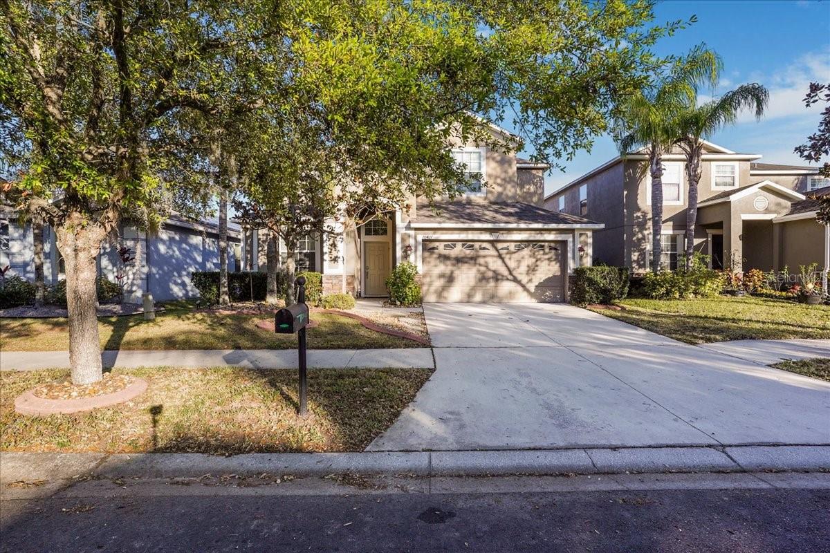 20427 Carolina Cherry Court, FL