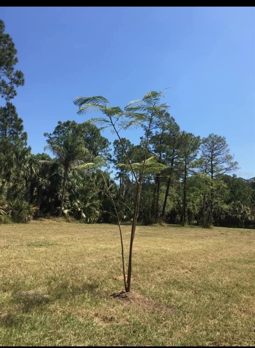 2370 Thacker Trail, FL
