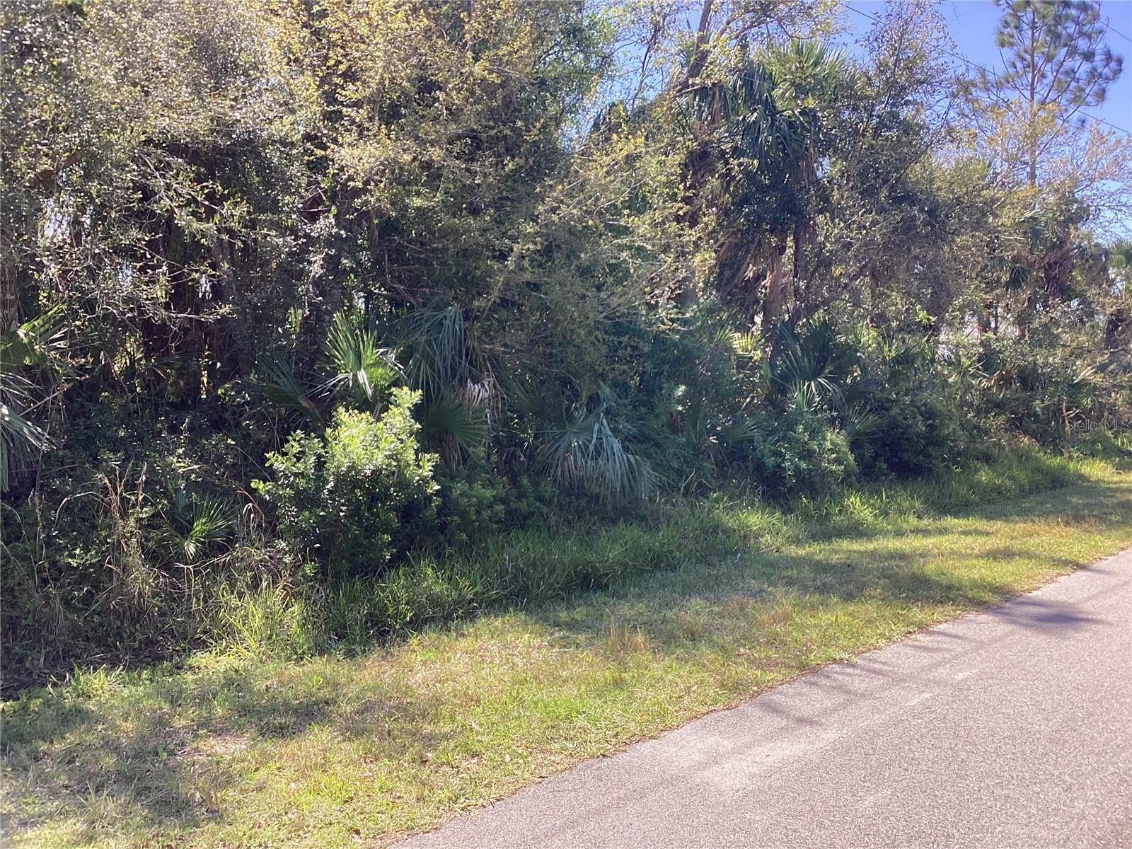Belleville Ter, FL