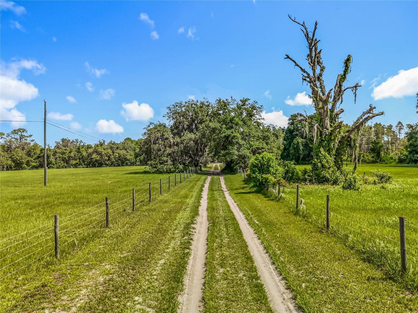 41204 Emeralda Island Road, FL