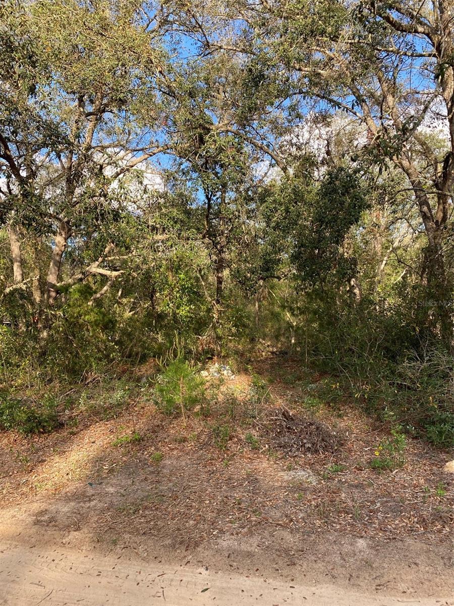 Dogwood Way, FL