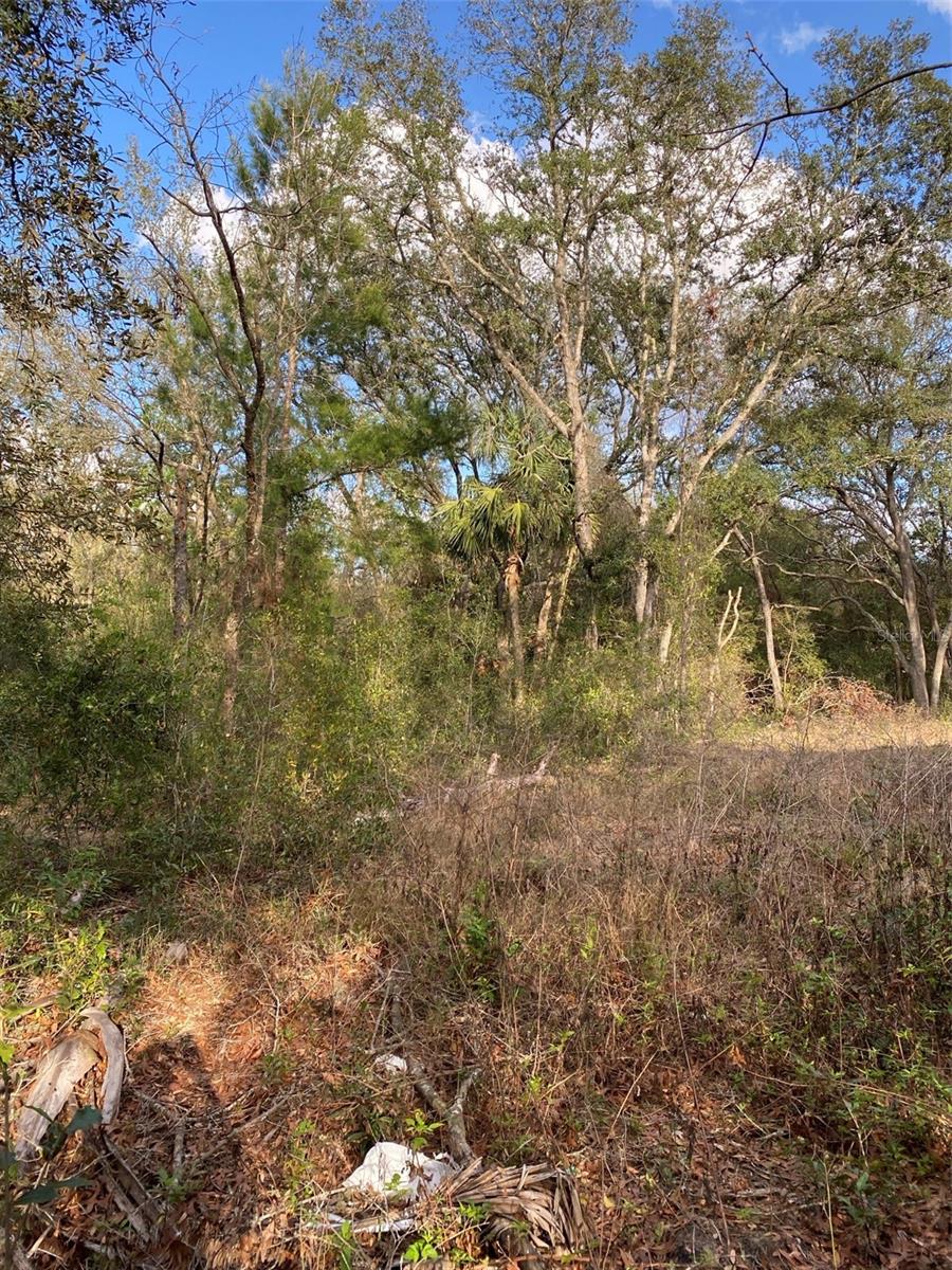 Dogwood Way, FL