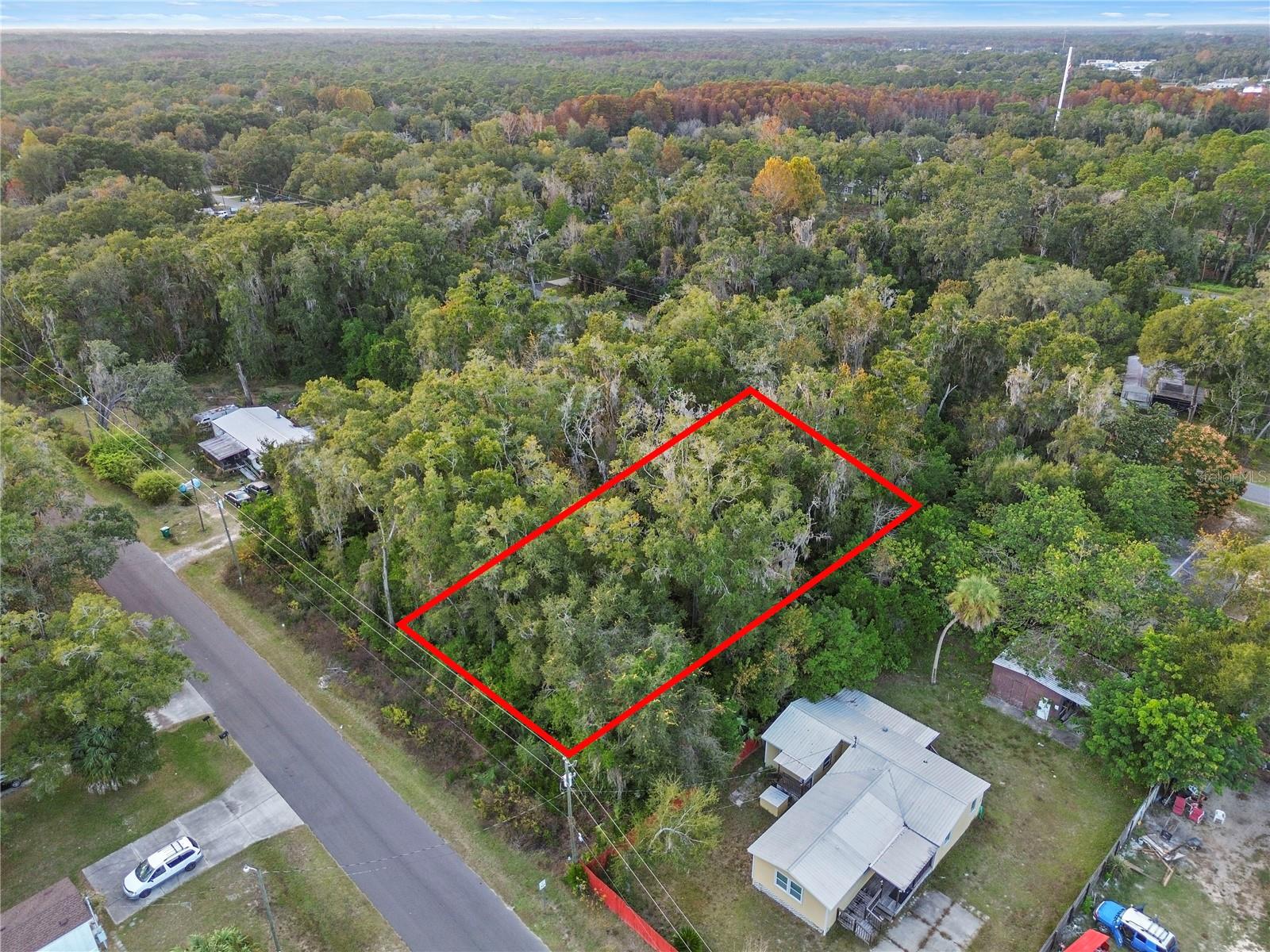 000 Goldenleaf Lane, FL