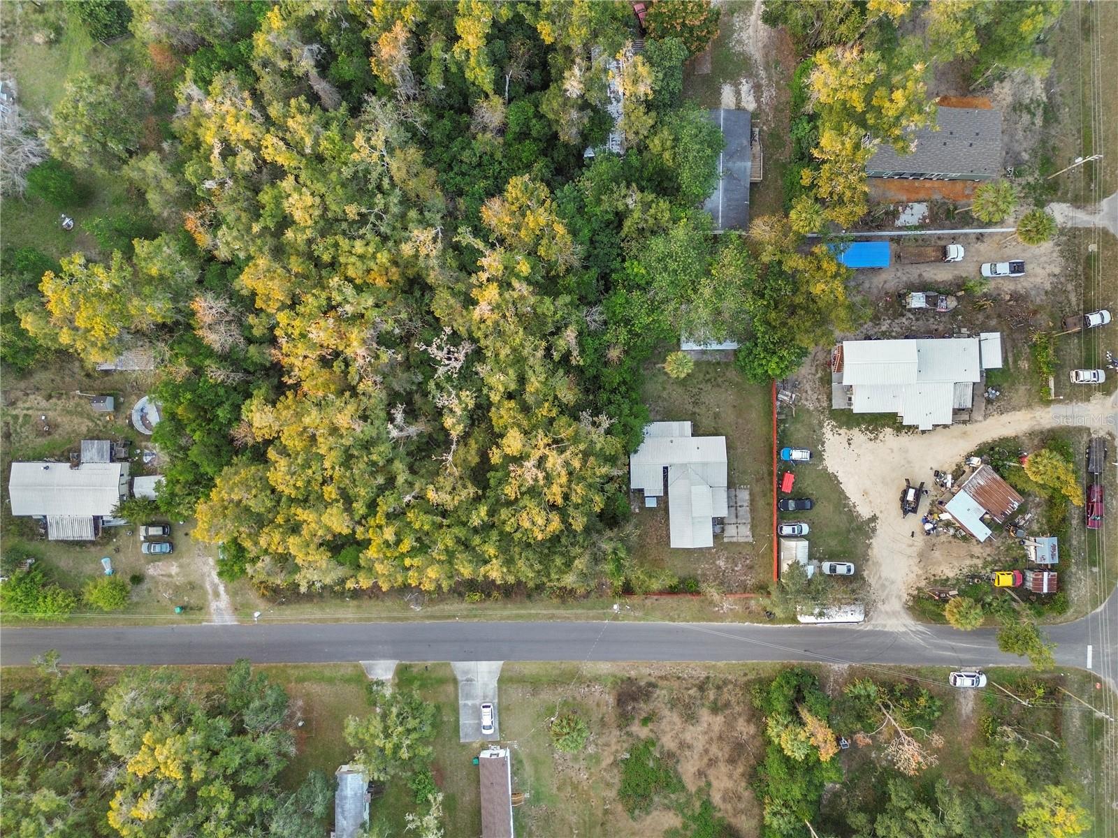 000 Goldenleaf Lane, FL