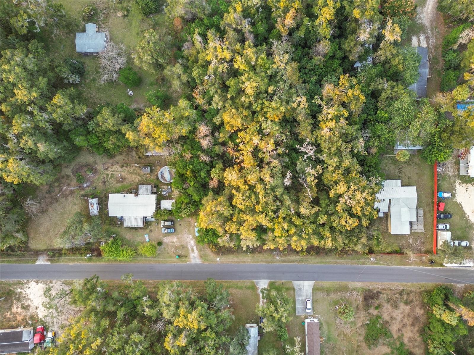 000 Goldenleaf Lane, FL
