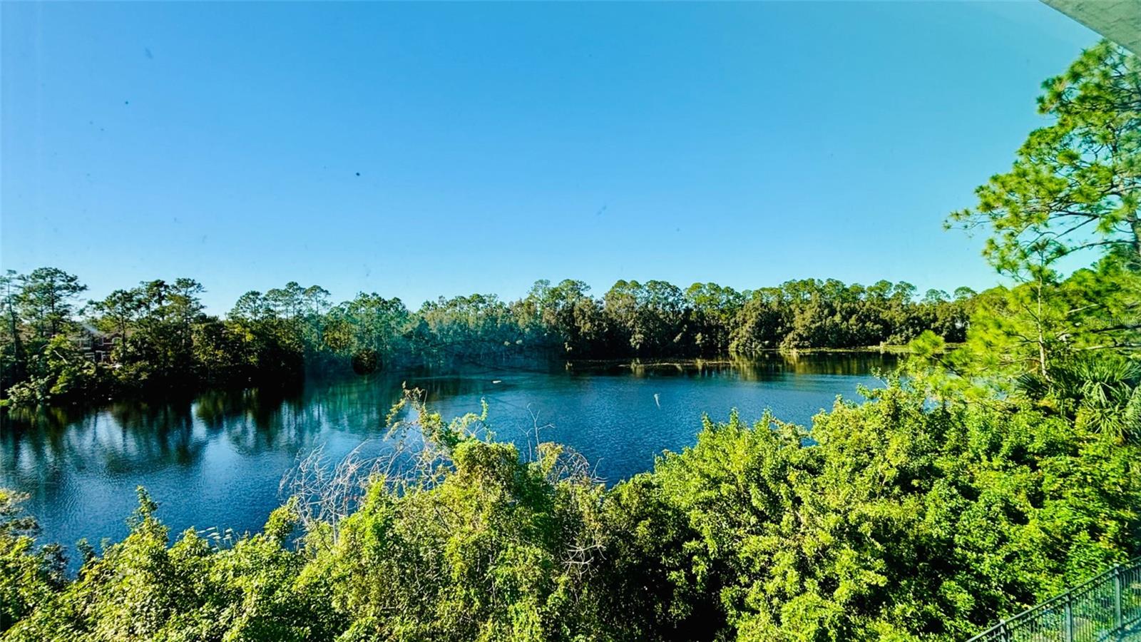 2144 Rookery Lane, FL
