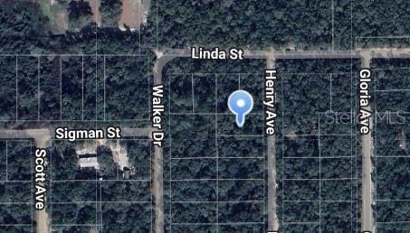 Henry Avenue, FL