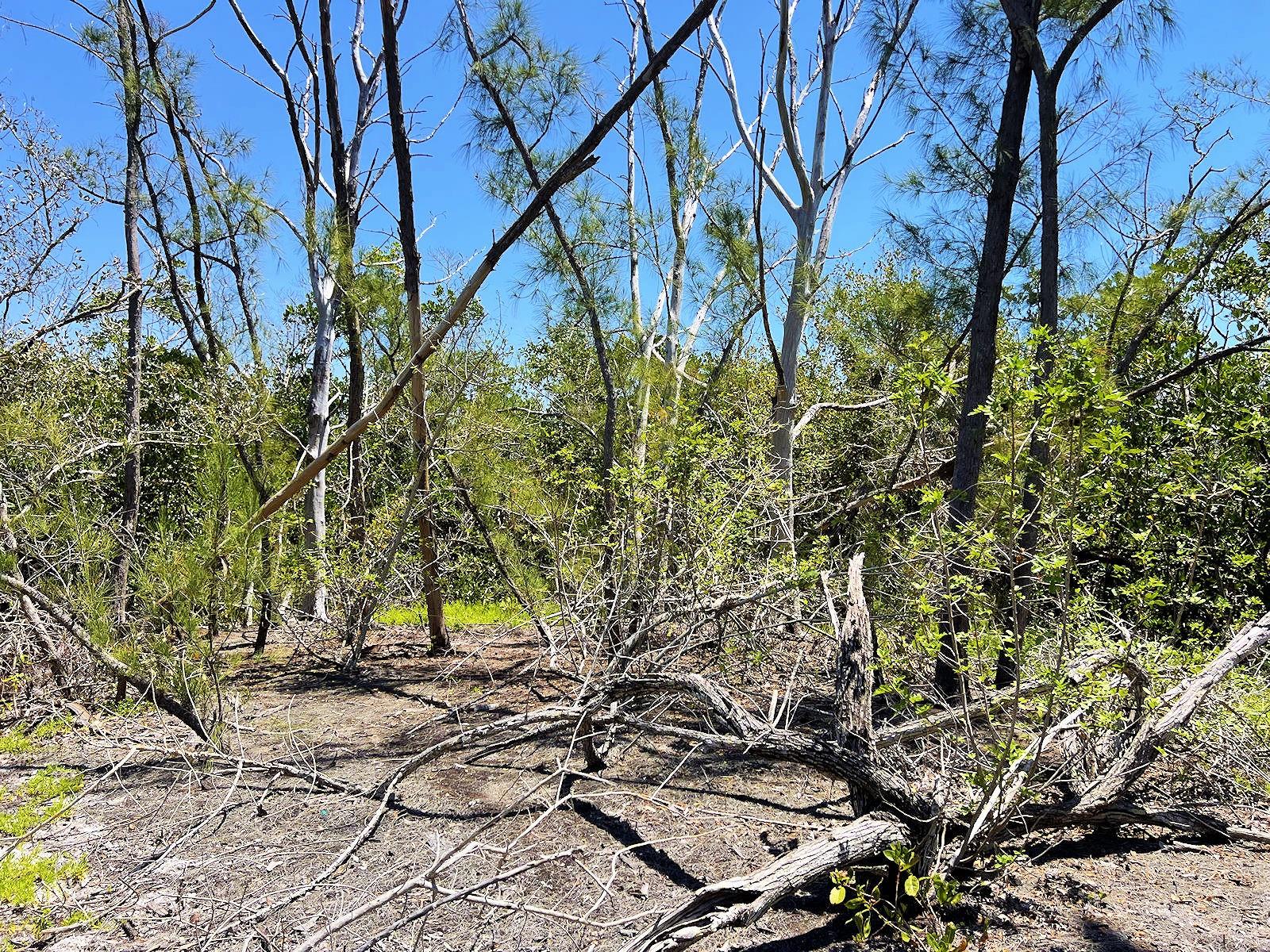 The Island Property Manasota Key, FL