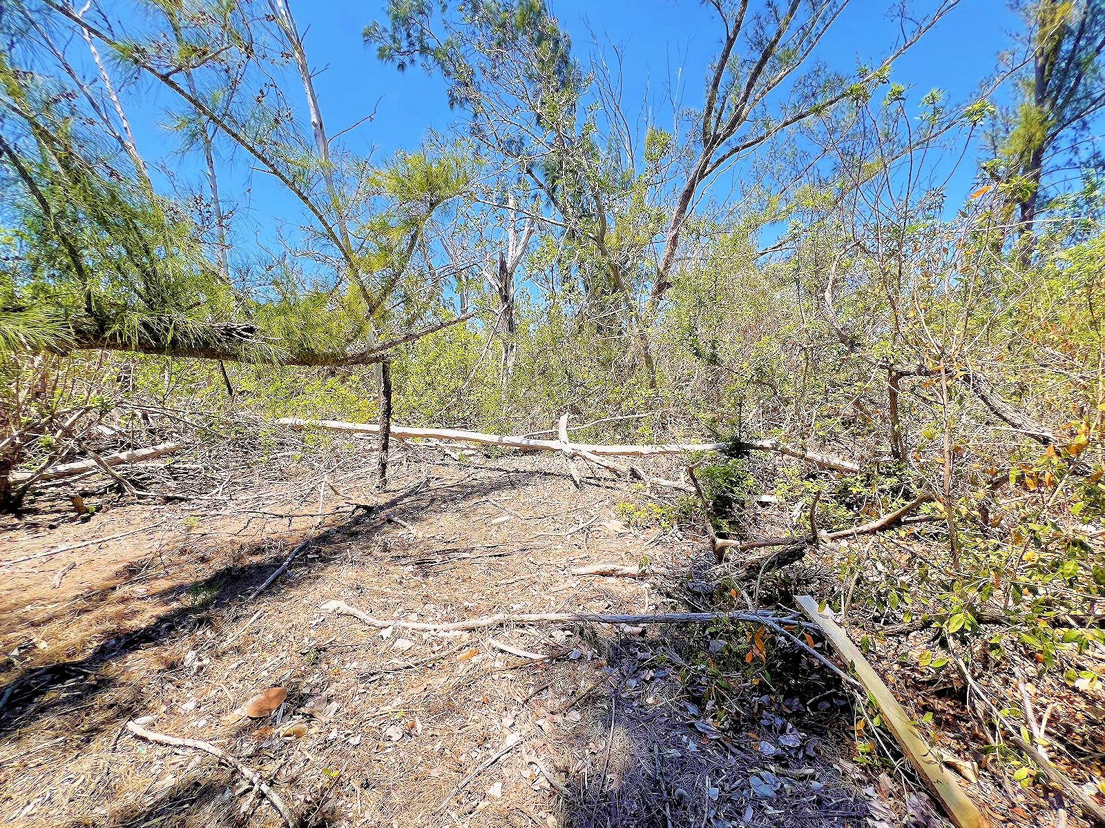 The Island Property Manasota Key, FL