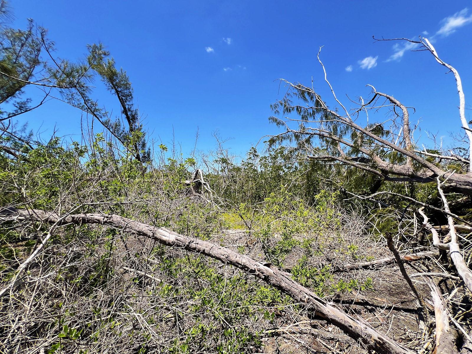 The Island Property Manasota Key, FL