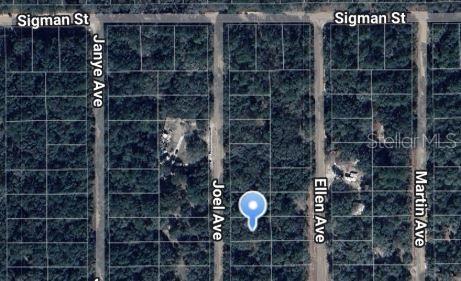 Joel Avenue, FL