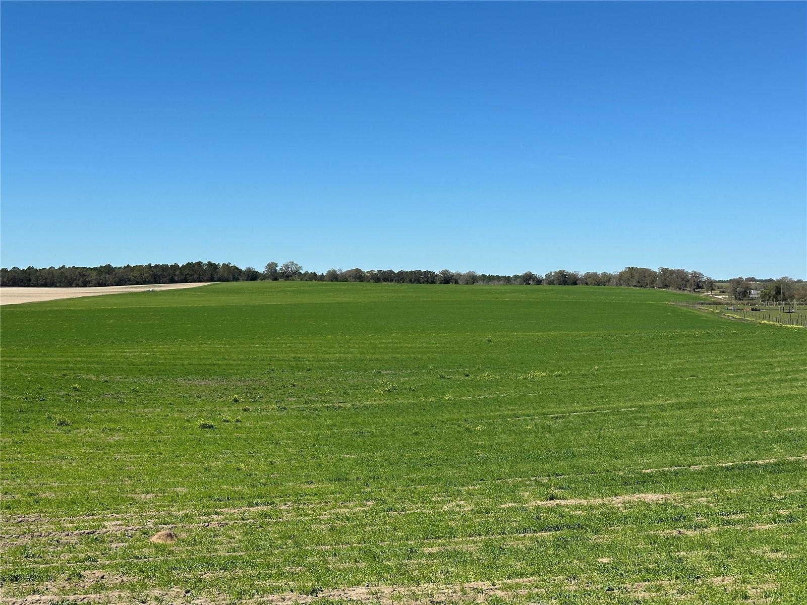(190 Ac-See Addt'L Pid'S) Nw 225th Ave, FL
