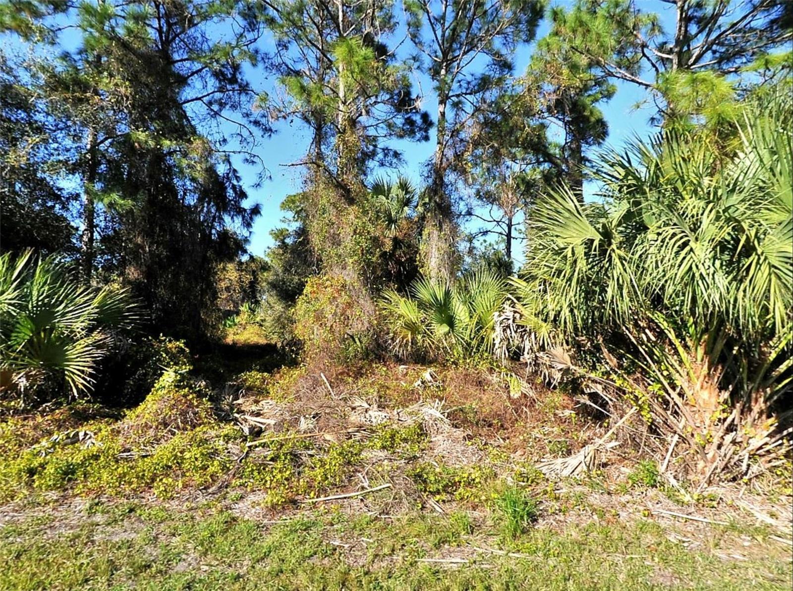 Lot 24 Renfro Avenue, FL