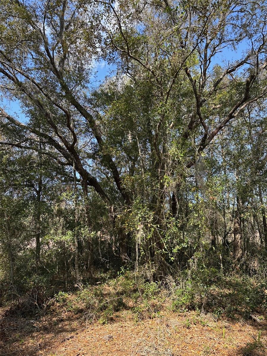 0 Courlan Road, FL