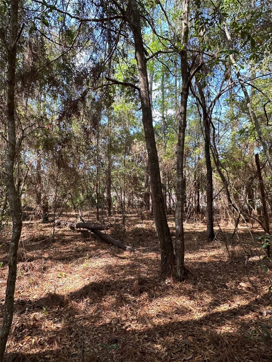 0 Courlan Road, FL