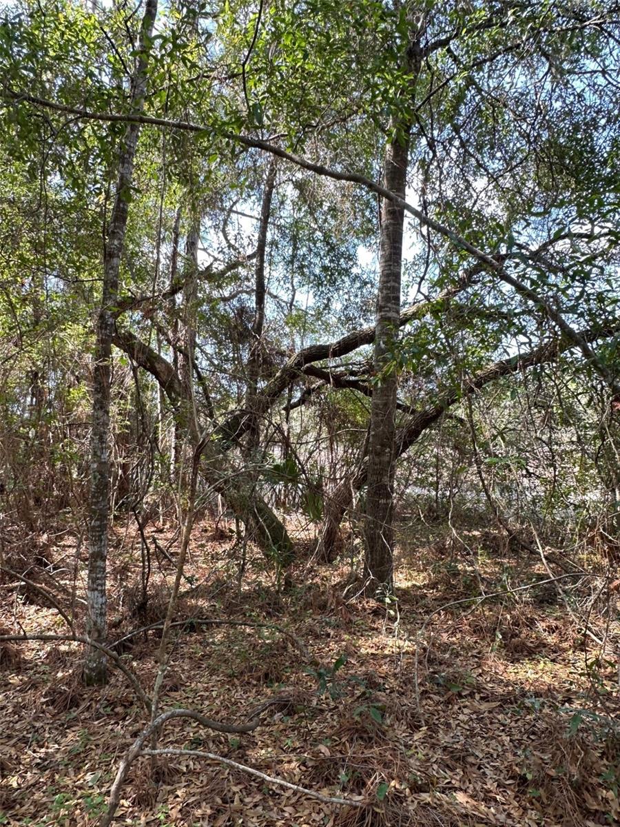 0 Courlan Road, FL