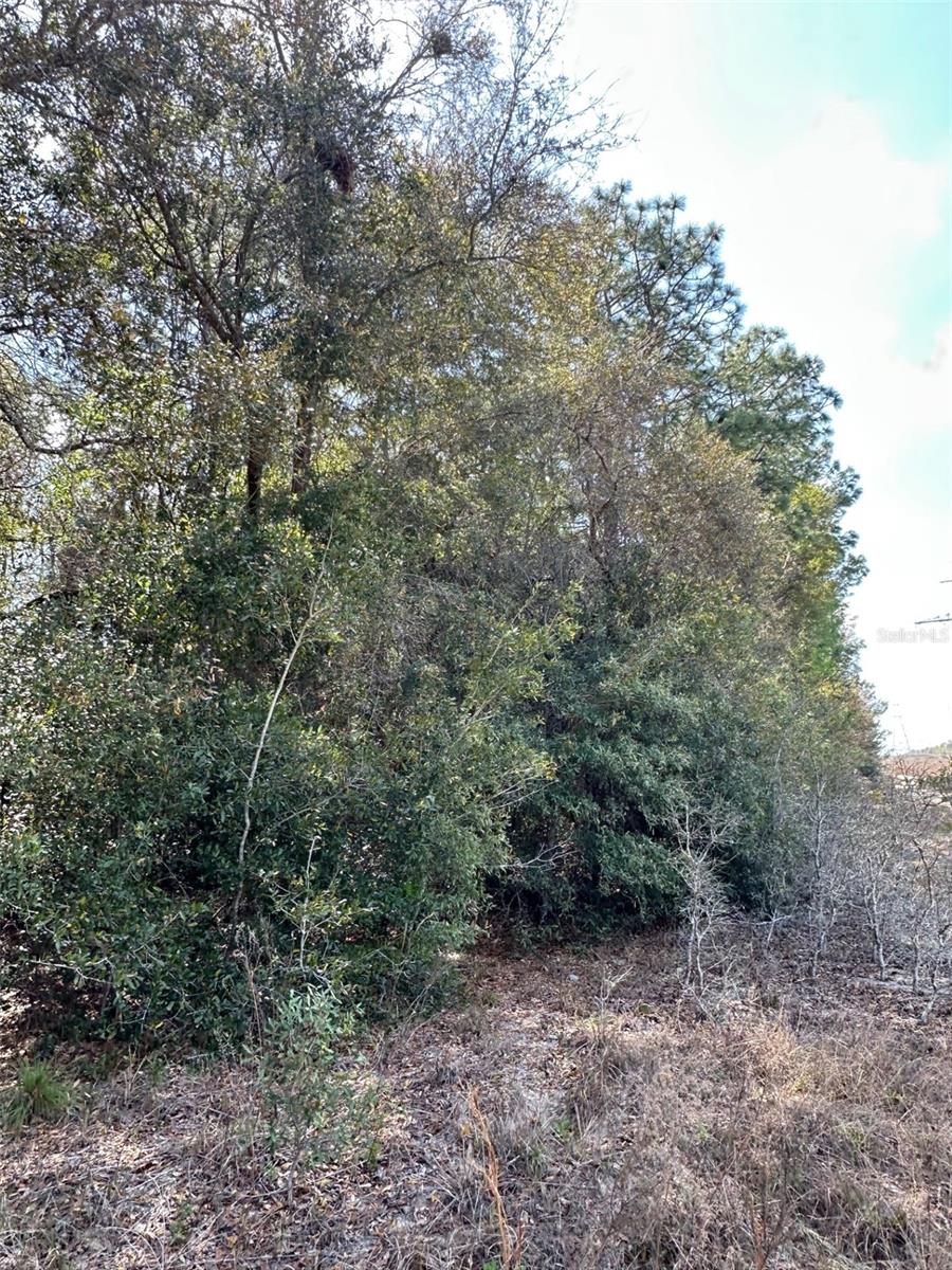 0 Courlan Road, FL