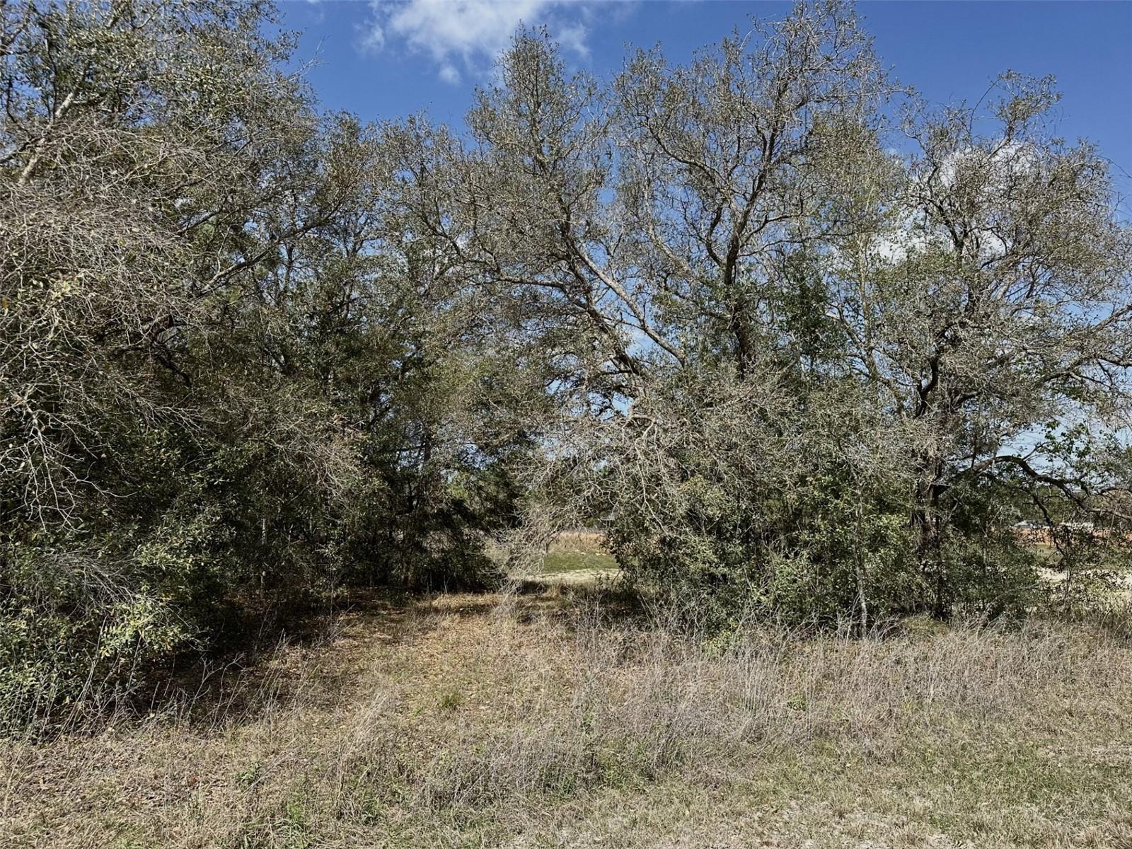0 Courlan Road, FL