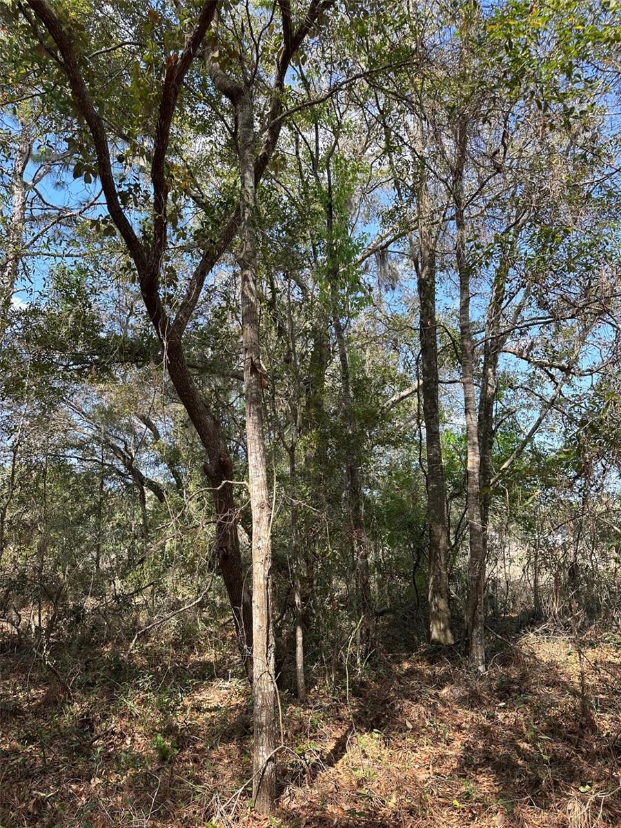 0 Courlan Road, FL