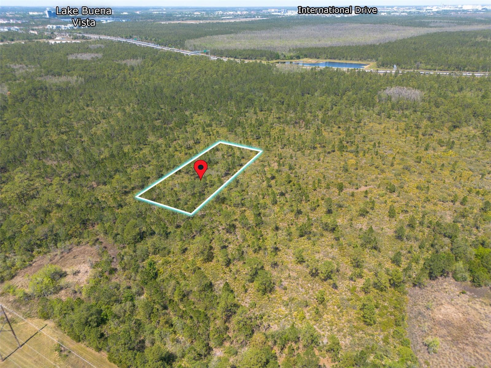 Sr-535, FL