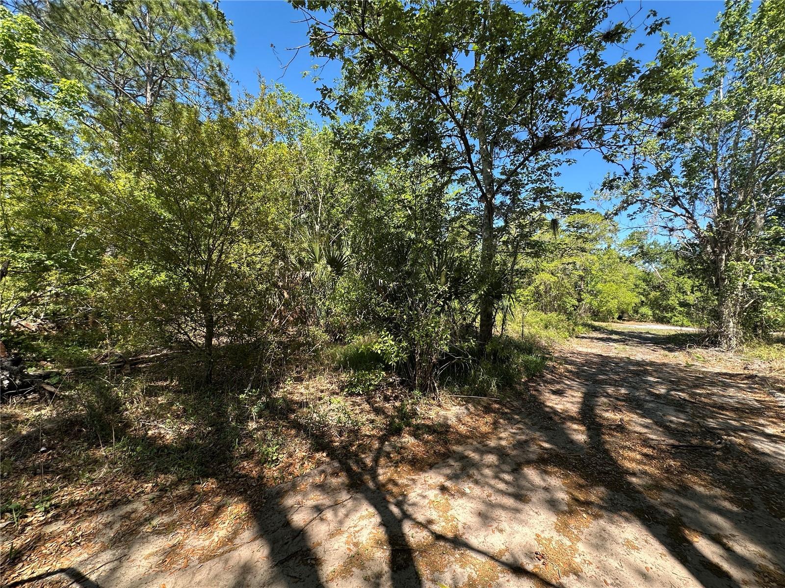 268 Spoonbill Dr, FL