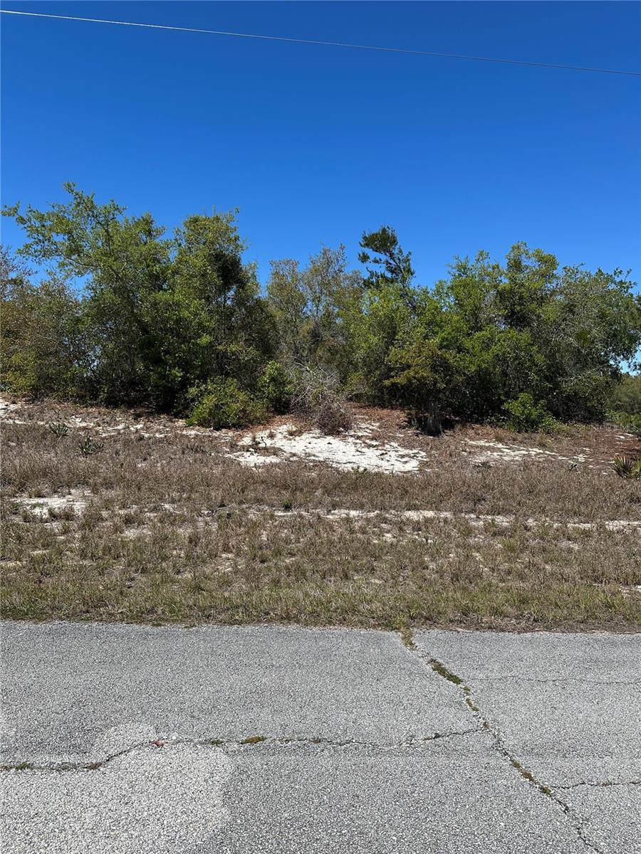 1386 Homosassa Dr, FL