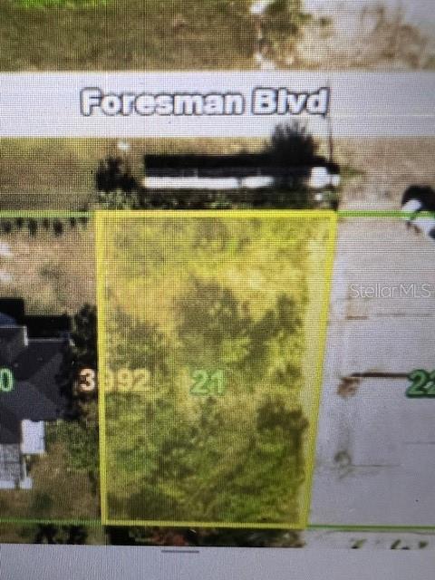 12171 Foresman Boulevard, FL