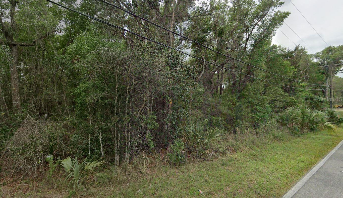 Reynolds Road, FL
