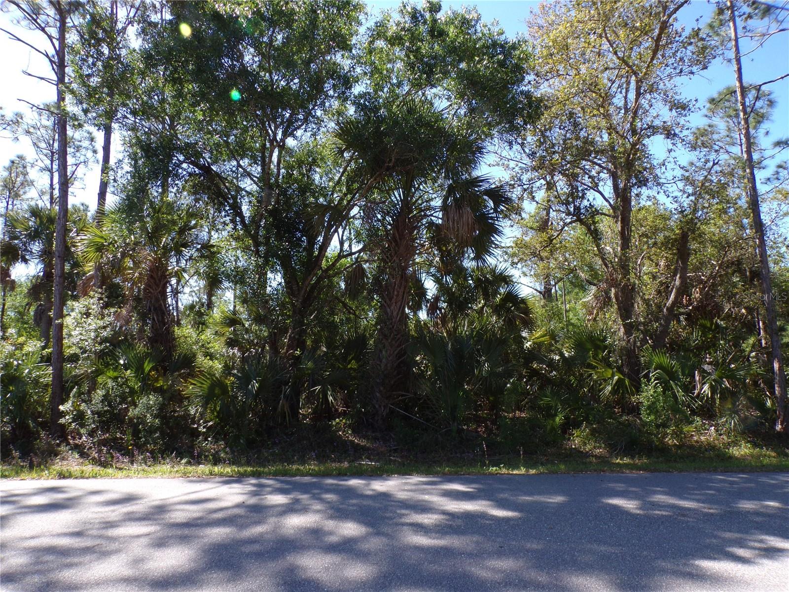 26215 Custer Road, FL