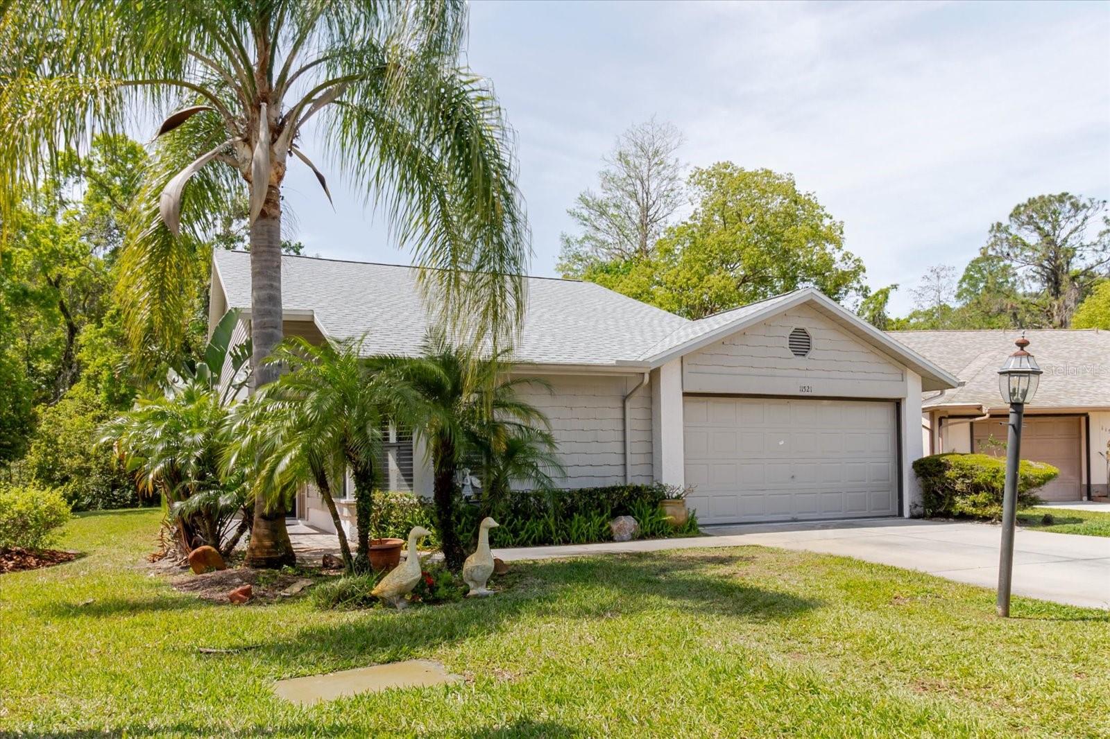 11521 Rose Tree Drive, FL
